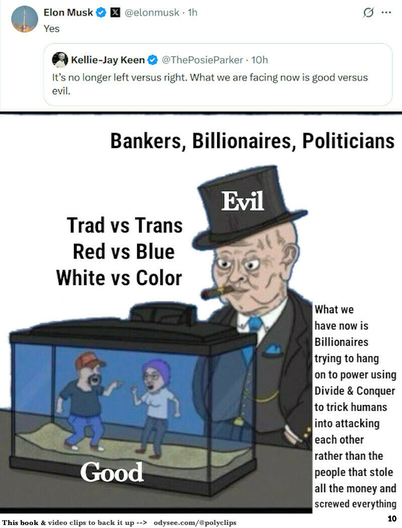 Bankster's fish tank