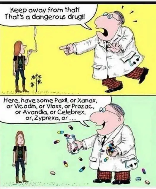 doc 4 kids